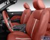 Ford Mustang 2010